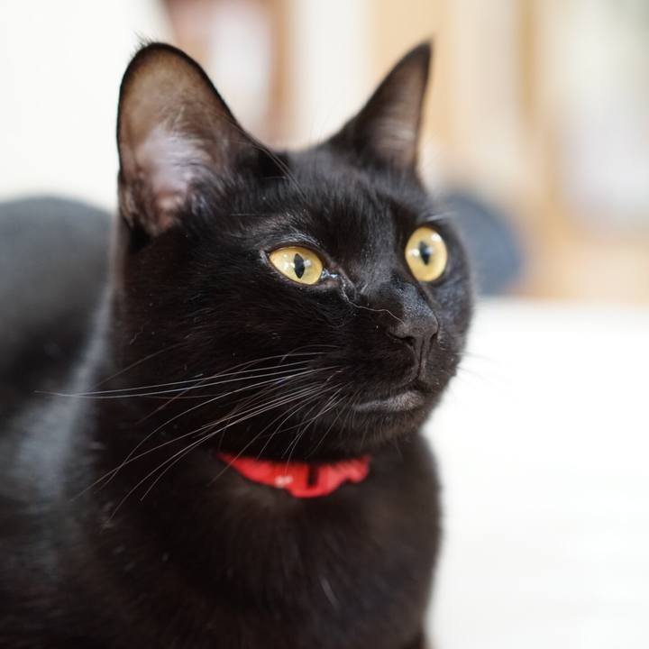 55a43de4 135e 4d3b 9b42 adf35ab017e2 1547681040902