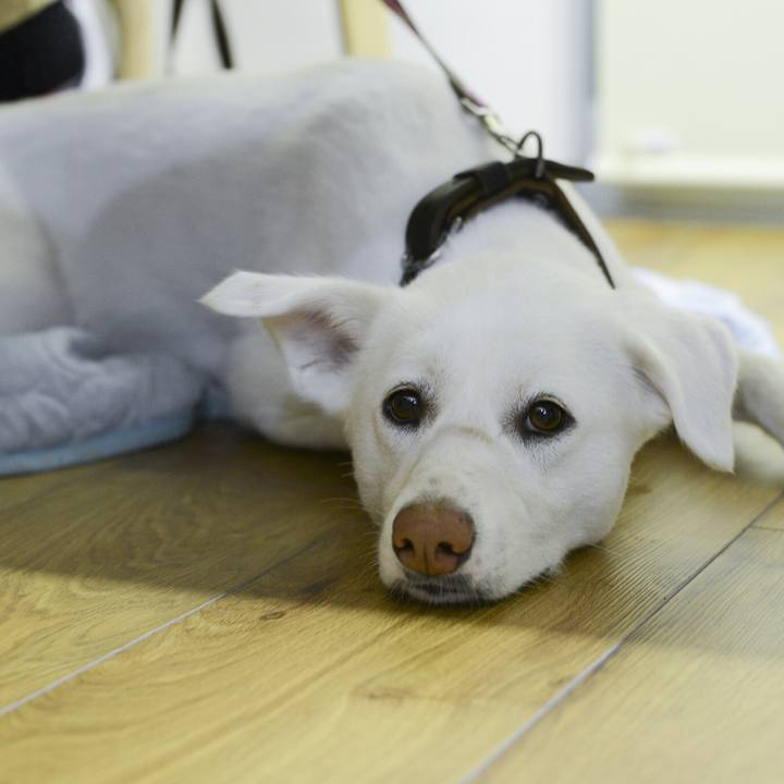 55a44927 d882 40be a82c 7e190898833b 1535378990003