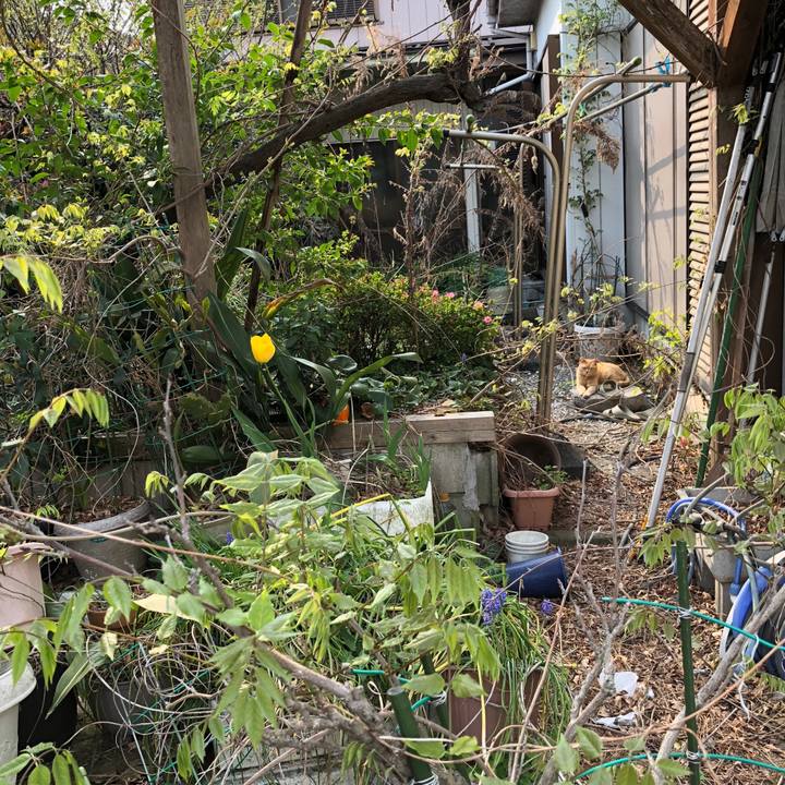 55a468c2 48a9 4d4c b430 b5735e50107b 1522657410359