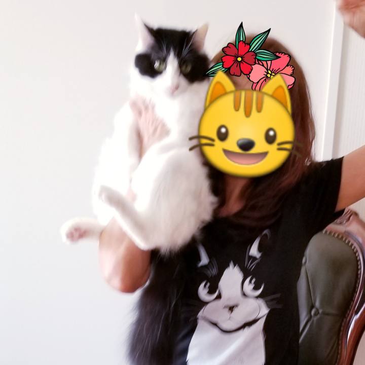 55a499c7 8a96 4d8b a735 2217eabfd375 1541638679170