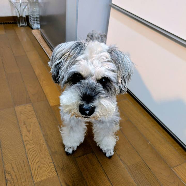 55a4df06 9ad4 4865 8261 a44da3599b7a 1762047029575