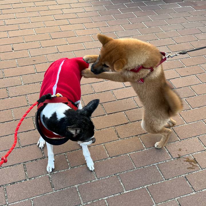 55a4fb75 23ff 4cb4 9fef 4de39523eba6 1639541528276