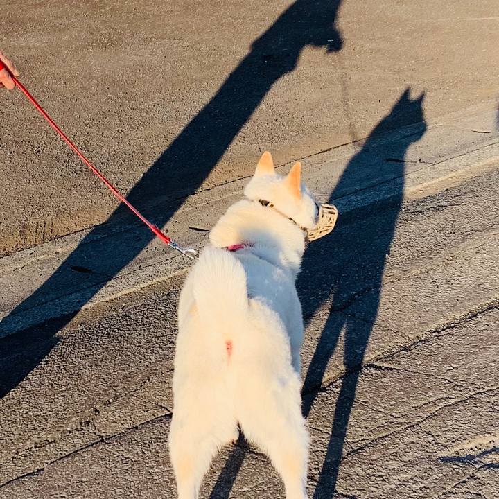 55a503e2 32e3 4ddc 9281 7fc1bcc2ea7e 1589491952920