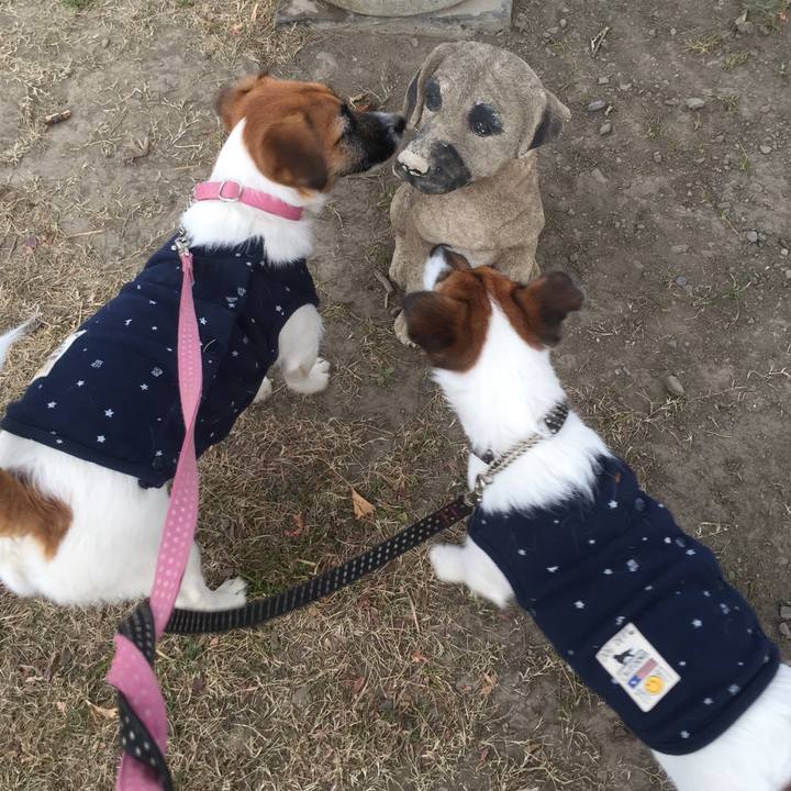 55a57c30 fe92 4fef ba0b 063a59ea1296 1514338205094