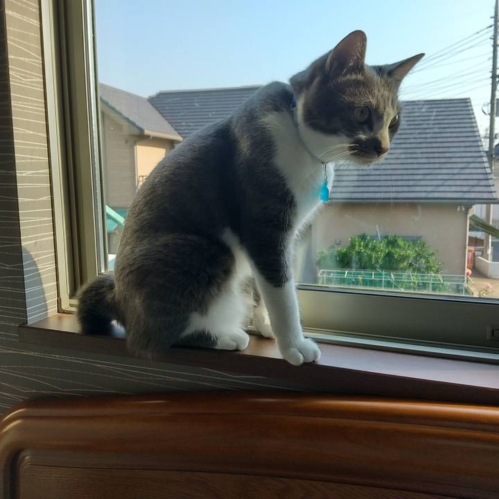 55a58076 532e 4543 801d df8c0ceb1619 1623109415564