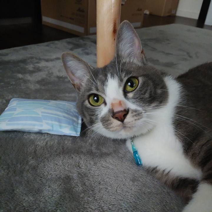 55a583d7 6b0d 4d0f b29d ac6eadca9276 1593296247076