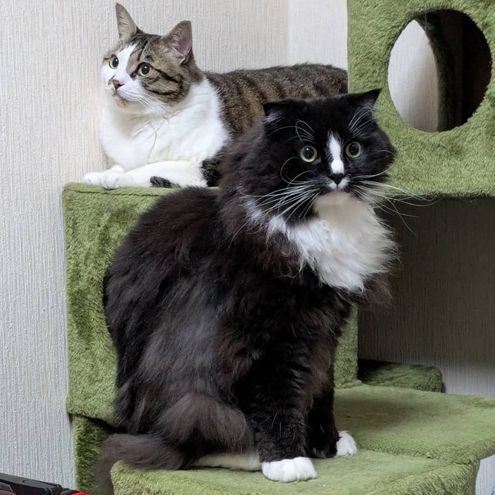 55a5b469 bd1b 473e acbc be5f71752b7b 1741726841263