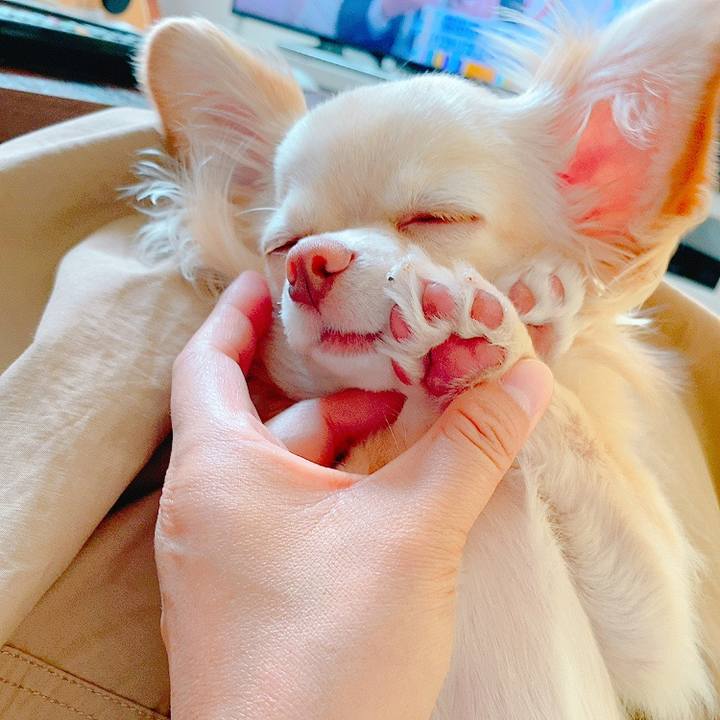 55a5cce3 b653 4f7b 97c9 4d22e4503439 1622346009243