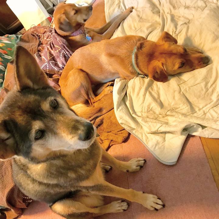 55a66088 7100 4fb0 a801 8b0bf797851d 1511943836407