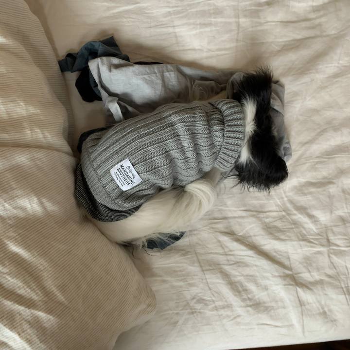 55a67a61 8bcf 4b3e 83ba 8b915de3196f 1549847650877