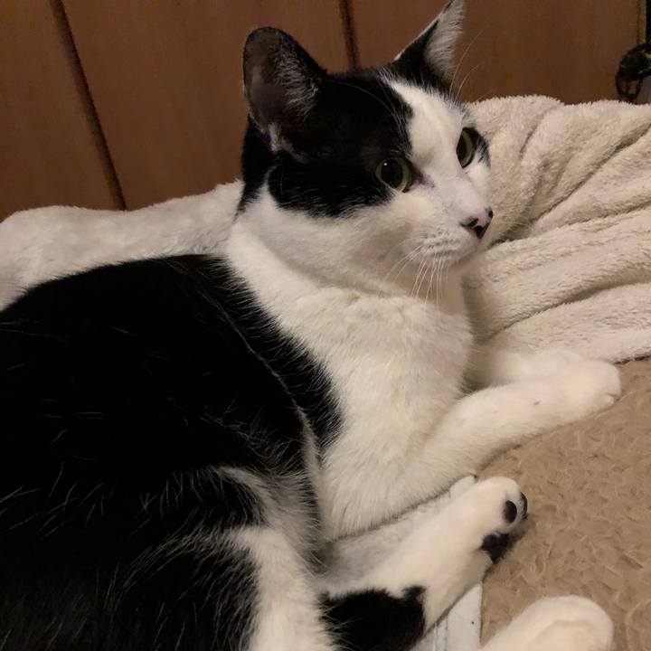 55a777ba 9d68 4c8d 9732 ce5ff0c99761 1547480075810