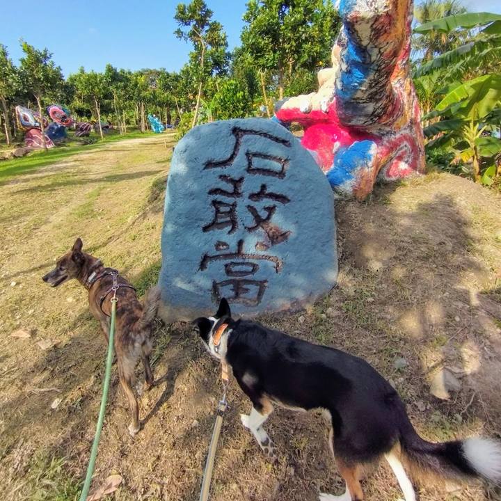 55a7f366 9473 4431 bca2 dd4bf5324f0c 1732516679087