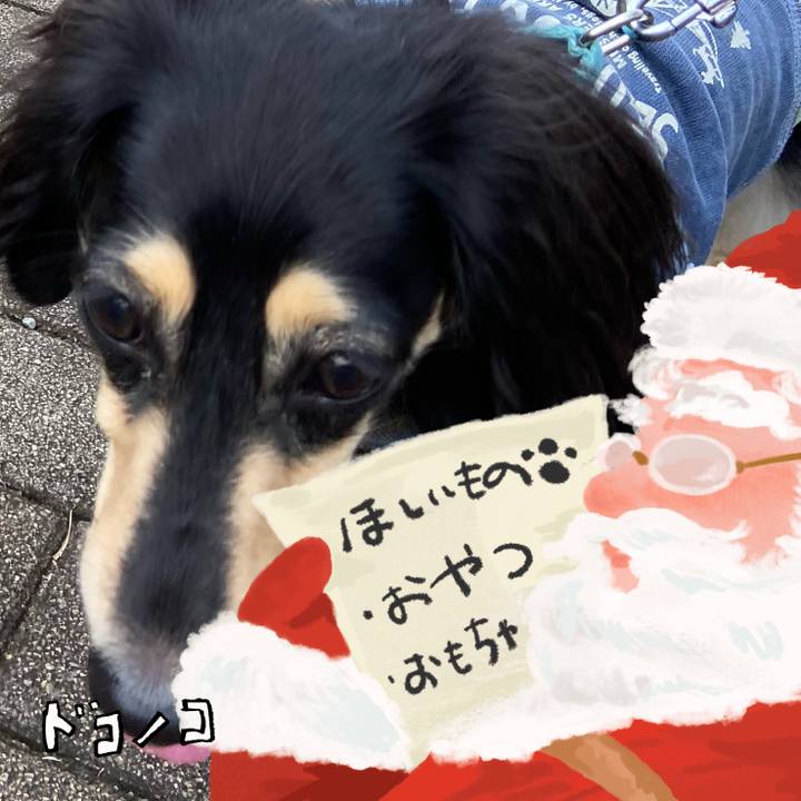 55a80d2e 9fd4 41a9 b1f4 1bc9dc656ee8 1729128025534