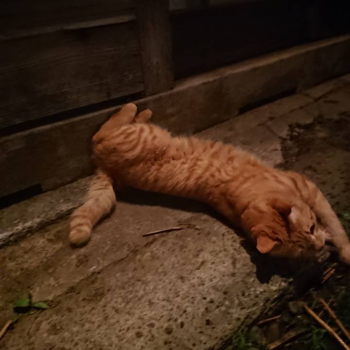 55a83fd7 e802 4fdd 80d4 985ffc75a821 1650977584498