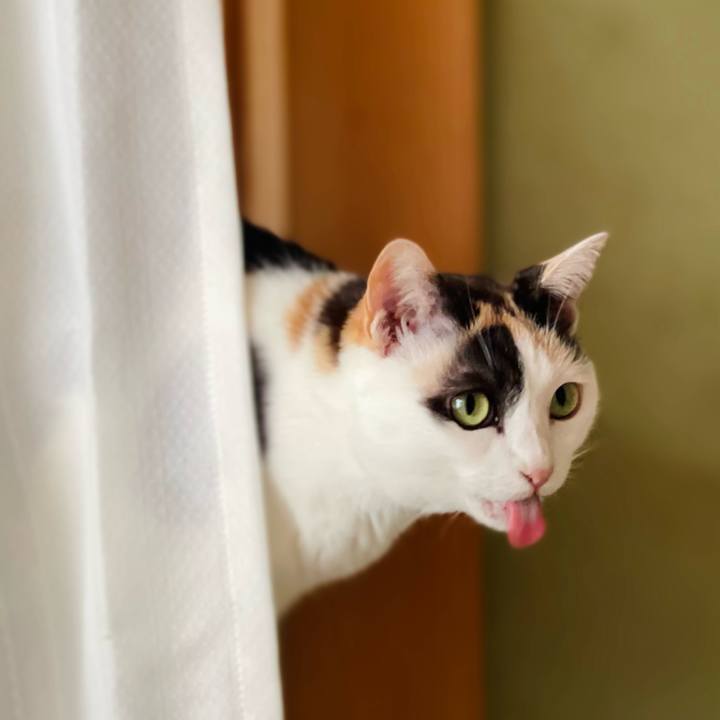 55a85ee1 c6de 4aa5 a4d6 41ca75d6a530 1654050942046