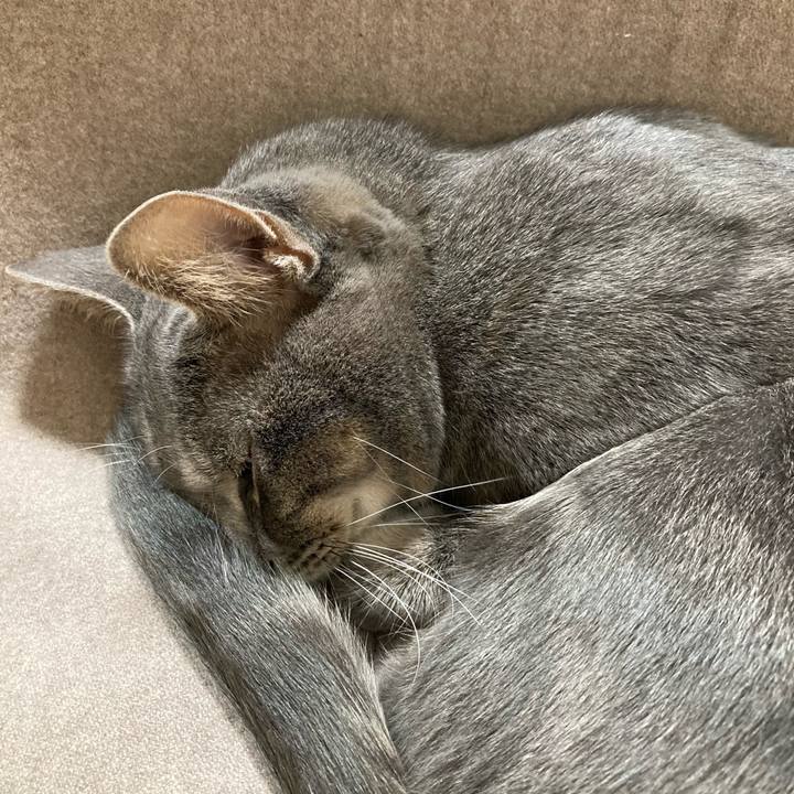 55a88185 cfe1 44f6 9a0f 881d8a20907c 1604583492312