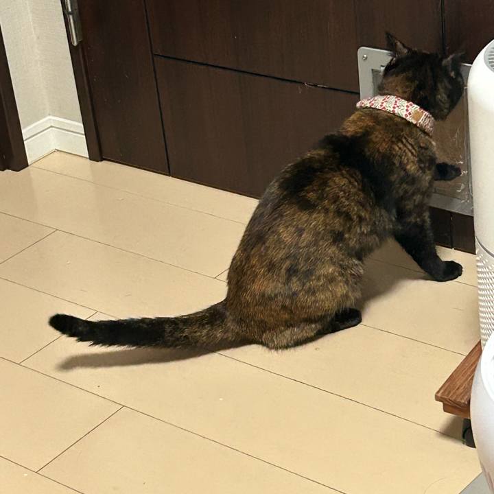 55a8bf45 fa6c 4e4f ae69 a3e296272387 1761209244710