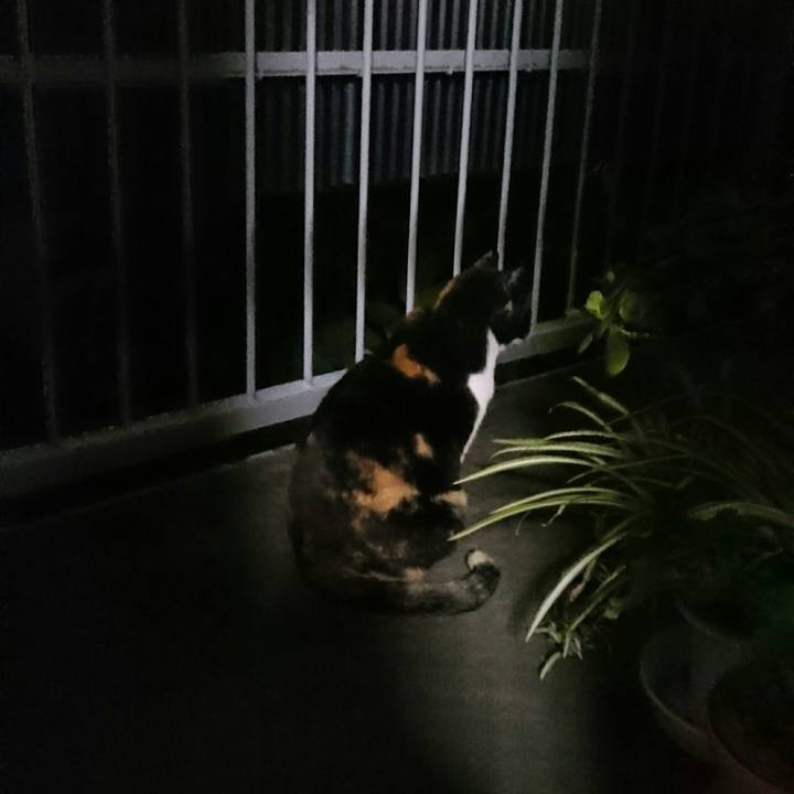 55a8d4ba a196 46fc b58d 60de3125f281 1511702856155