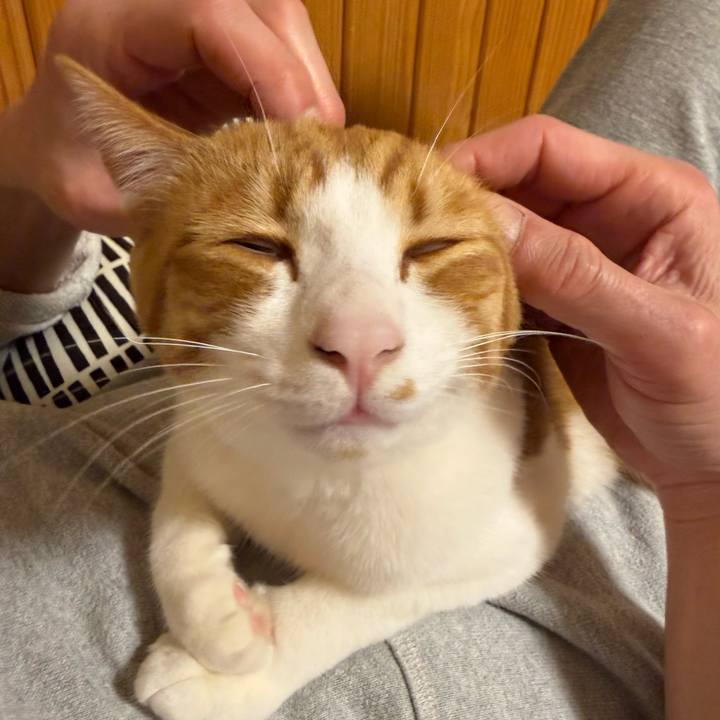 55a9247c 6a84 4810 964d ea404662be1a 1771984235824