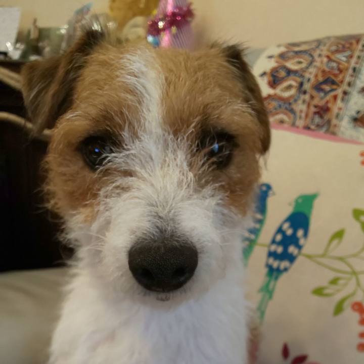 55a93c6a b43c 4b63 b6fc 61ec30b15937 1576720481165