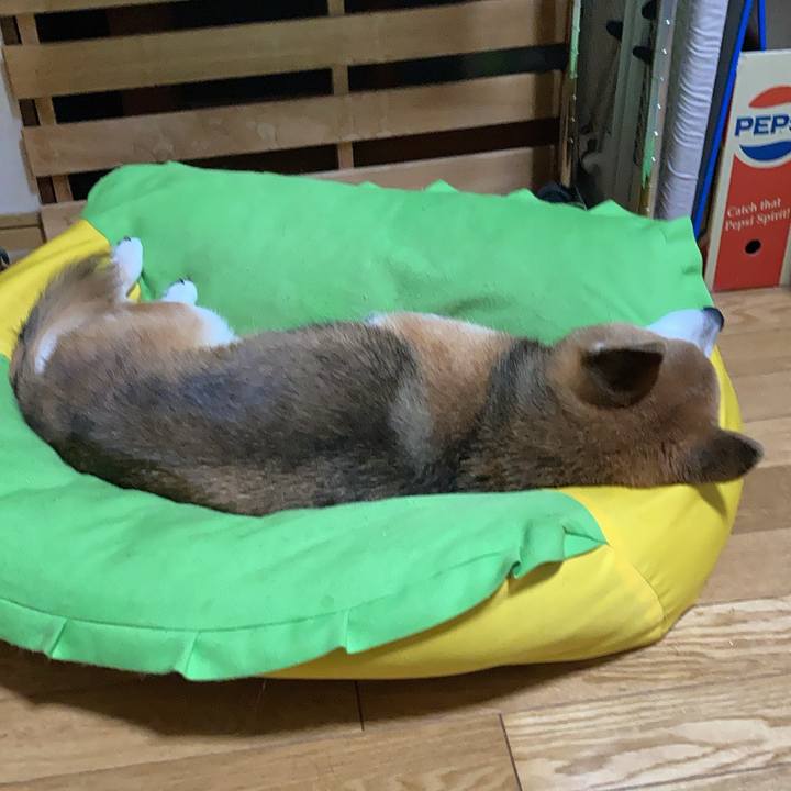 55a953e1 939a 4c8a af4b 994b5eeeddaa 1757651660841