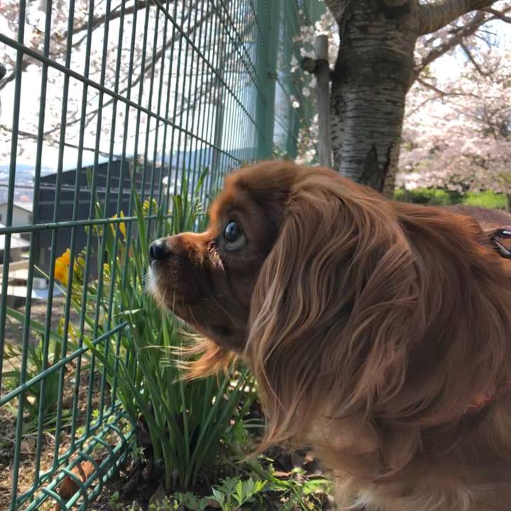 55a96cd9 c37e 4c73 9389 b8ca6d8d68fe 1585981840702