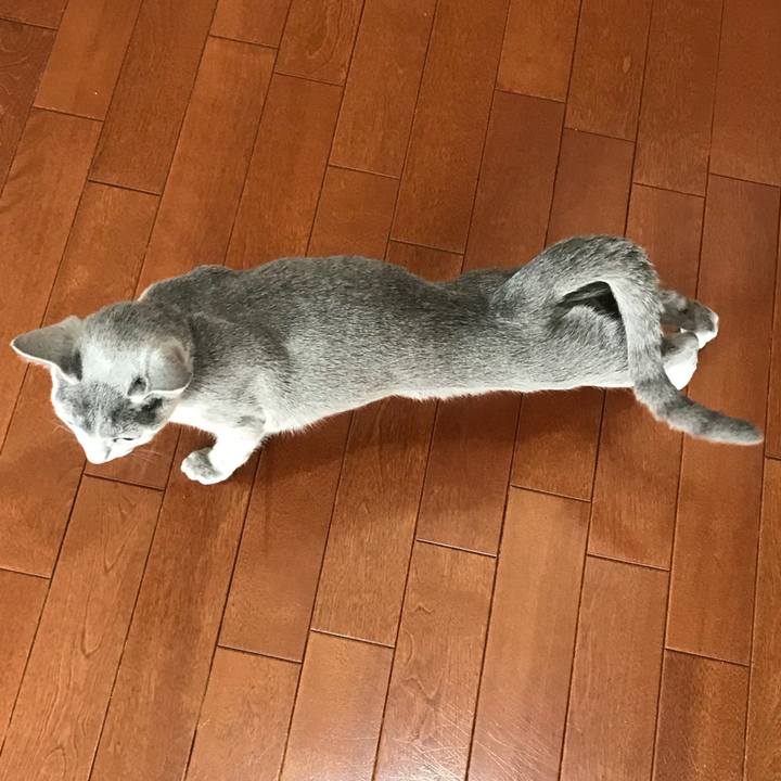 55a96e82 a07e 46d9 8c35 eb8ea660d75b 1514894002315