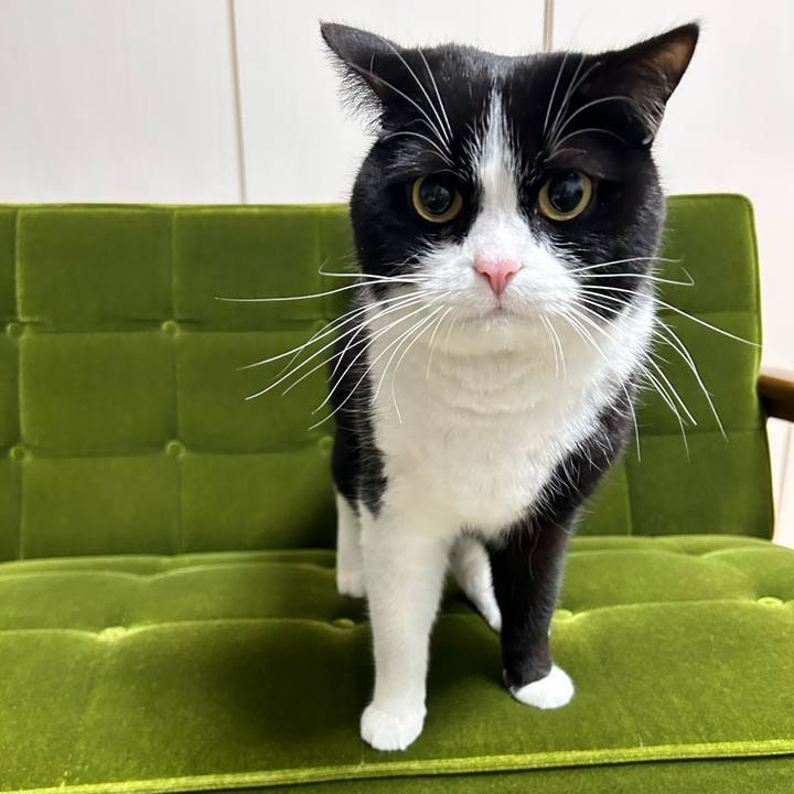 55a9895c 67fd 4912 9aa2 b0dfdb196a7e 1708519171344