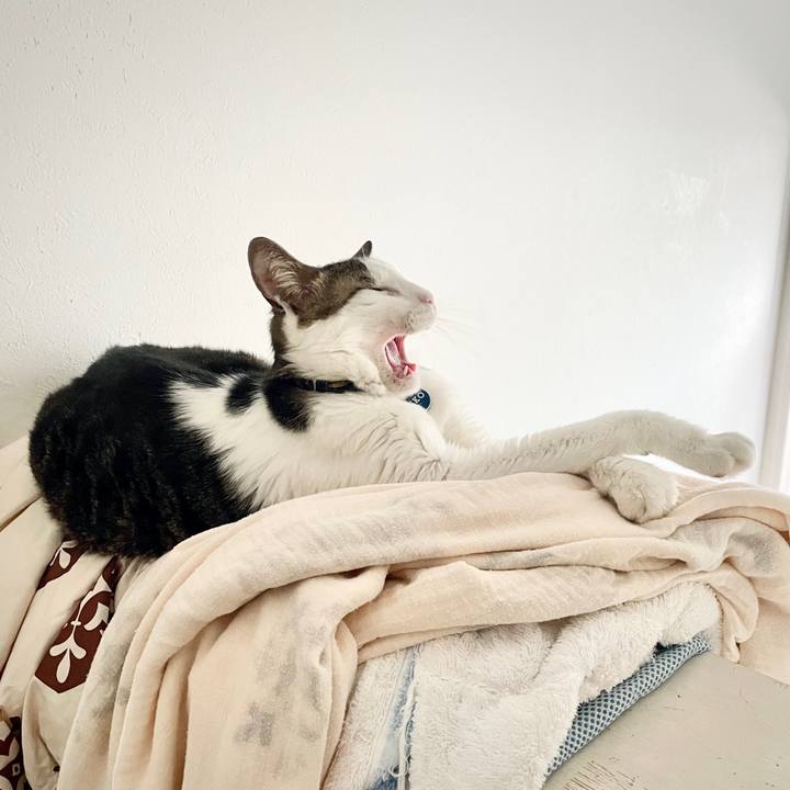 55a9ac0c ec87 472e 93a0 06b3f63b9c3e 1692114313616