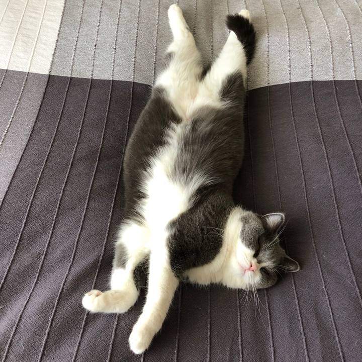 55a9cea9 2bb5 405d b71f cab06b1617e3 1547876789397