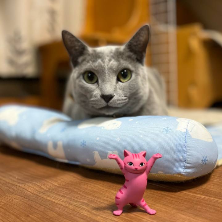 55a9d5be 85f9 482d 9e77 d3c23efff328 1646826244547