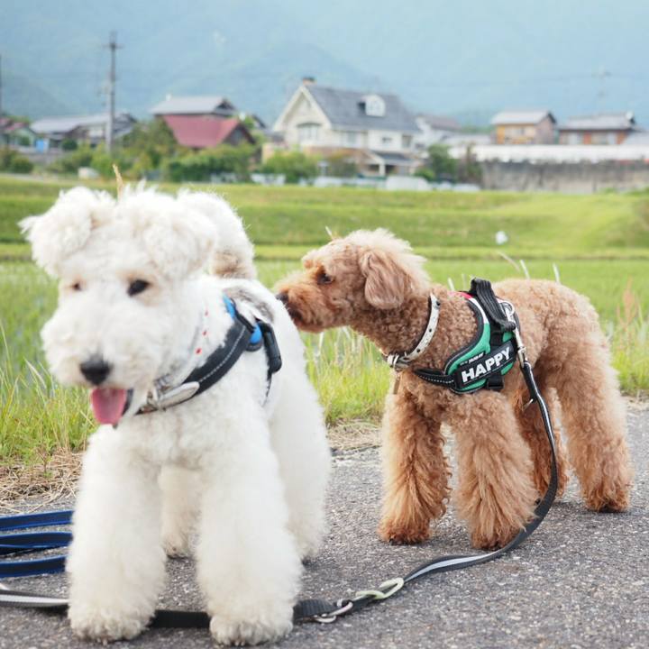 55a9e0db 4bd2 4d23 8fd6 33037b864d61 1527461159264