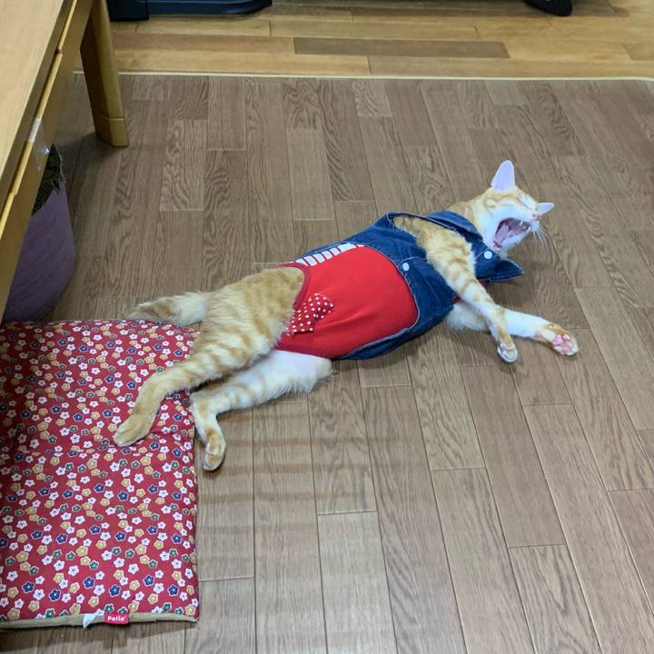 55a9fa2d ced3 446e 8e94 25e2c45fdd9c 1625579350755