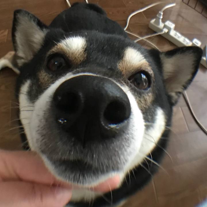 55a9fff2 725a 4073 ac9f eb90a8ca384b 1531655581332