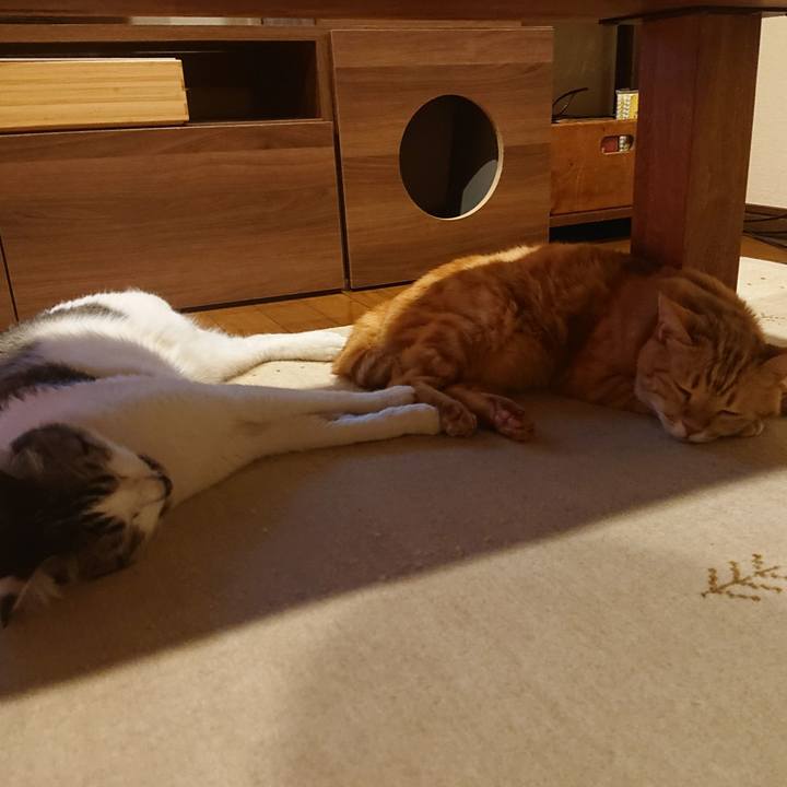 55aa0283 3c05 42a1 a056 7b32005f9dce 1640862661254