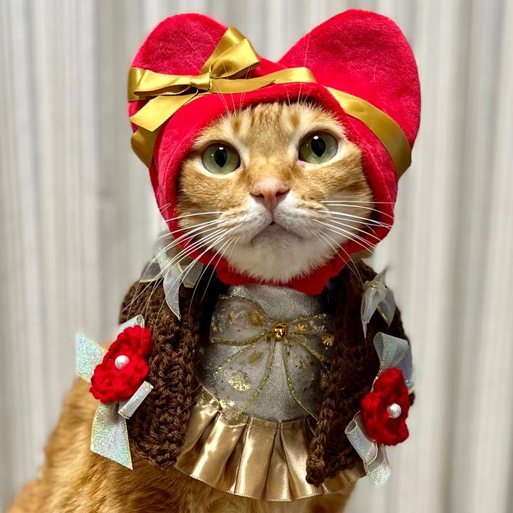 55aa9aeb decb 4185 b4f9 fd496926b4fe 1641988934700