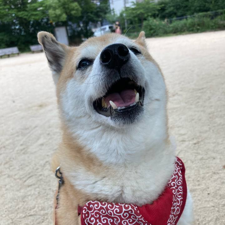 55aaef31 7ed6 4427 8493 7051144b07c0 1623406252160