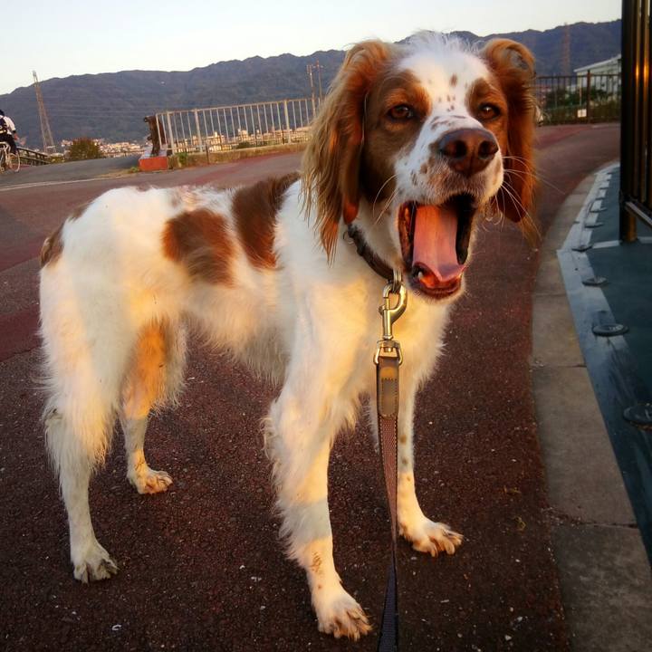 55ab0688 eed6 43d8 be04 50bfefa8d13e 1509007616338