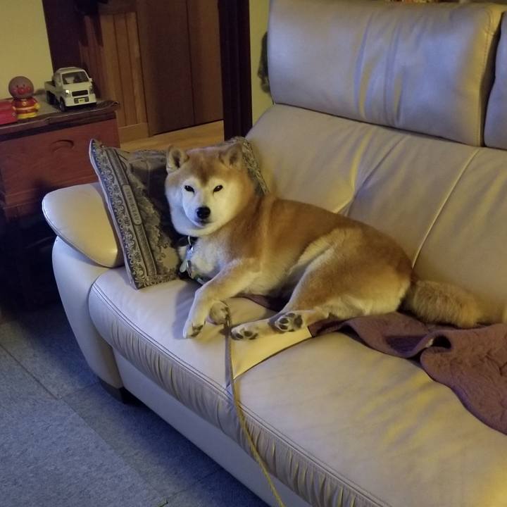 55ab08eb d78f 42bf 8f3a f0fbd67450e0 1667983832032