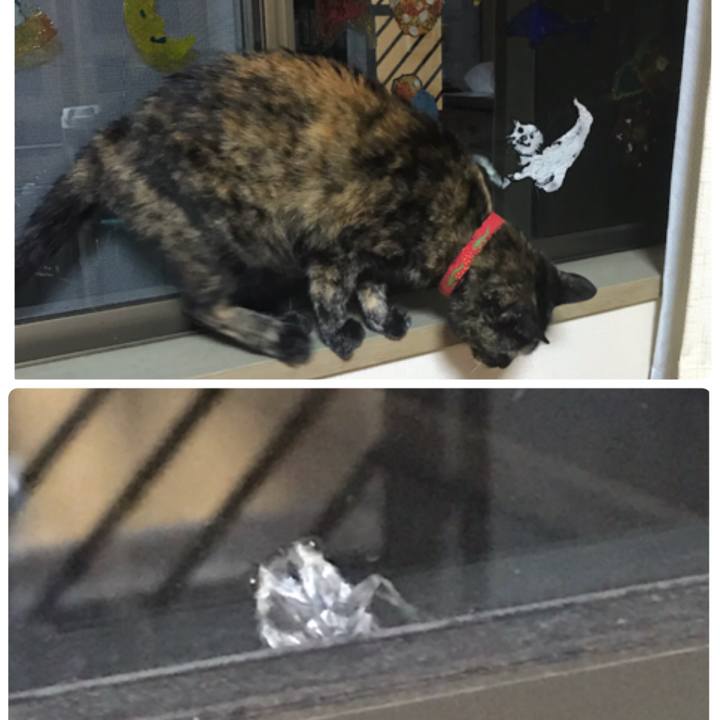 55ab80fc 8aac 46b5 a09d 7c42626cae61 1565441858818