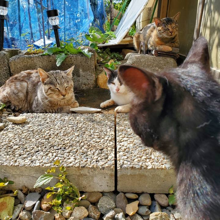 55ab8f16 fcbd 418d 87a6 9d02cd530e01 1696951065859