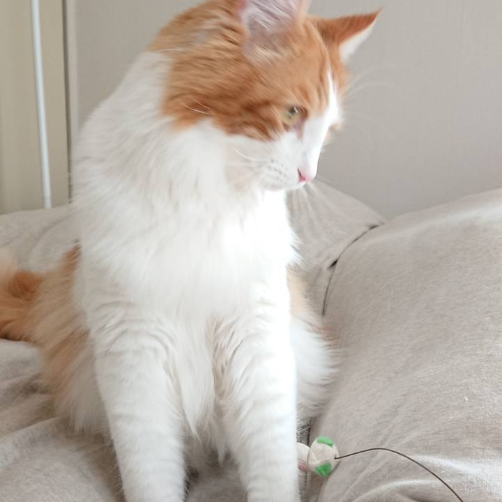 55abe55a e309 4aff b414 ea0cf13d3b7f 1516253844544