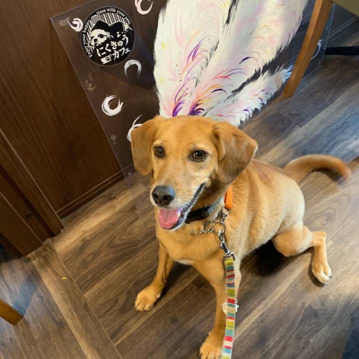 55ac00ea 5f16 44da 81ac 6e4d050ce095 1561118843377