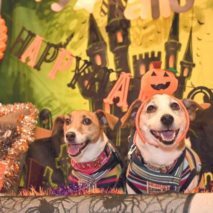 55ac29f7 98bd 4b84 8e59 fab32f752fab 1761394355105