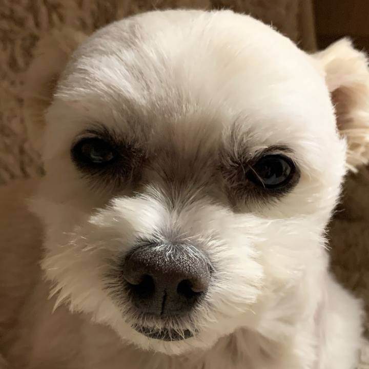 55ac698d 62d2 4a52 8c98 9f86421d12fb 1608984544767