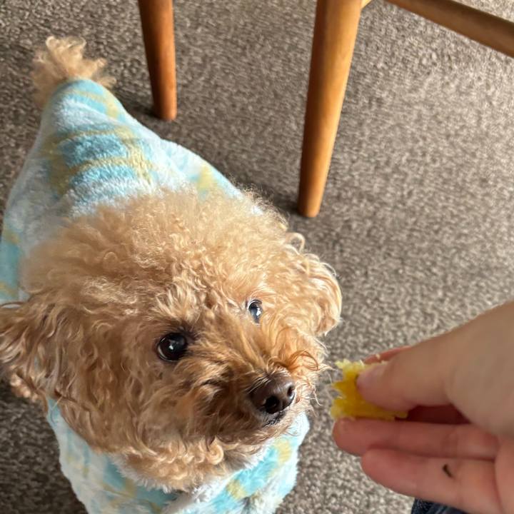 55ac72fe 8061 4bfb ac6e 3ae3dd9a9bd2 1765286157368