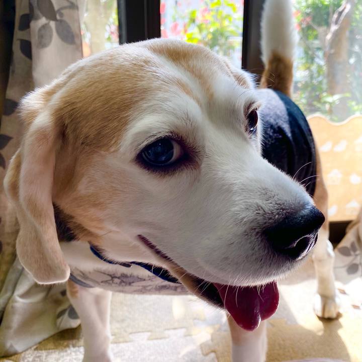 55ac8ca1 e374 4fc7 834b 327dce6aaa8c 1617162871813