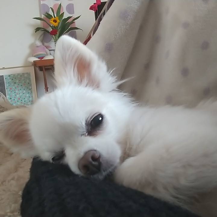 55acbd9b 29e6 4943 b27a 52e9dce8dc4a 1649157373645