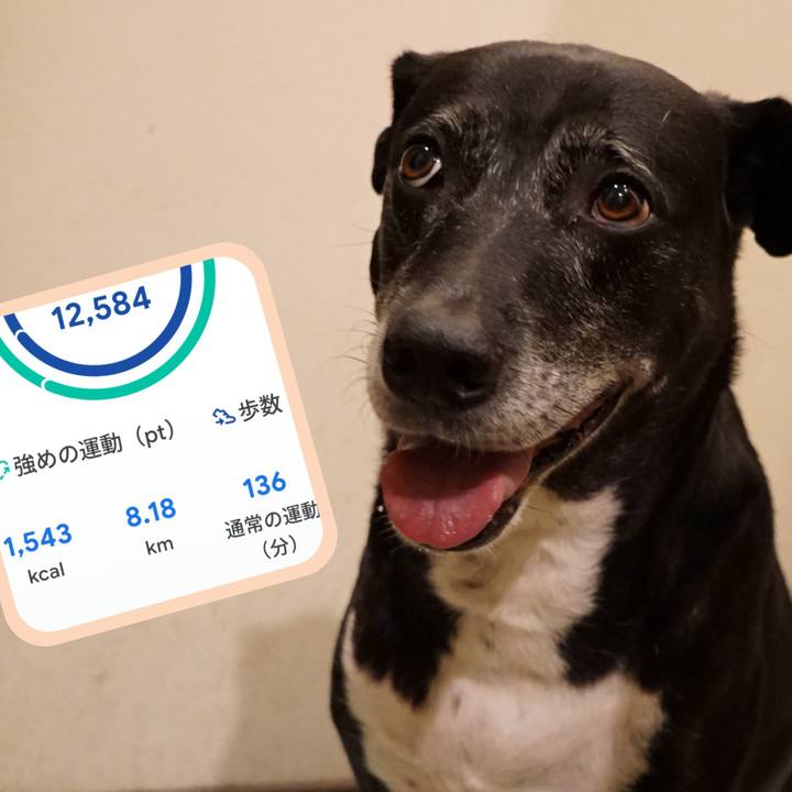 55accfd6 4a53 4e4e a71d 95a784398424 1758279565832