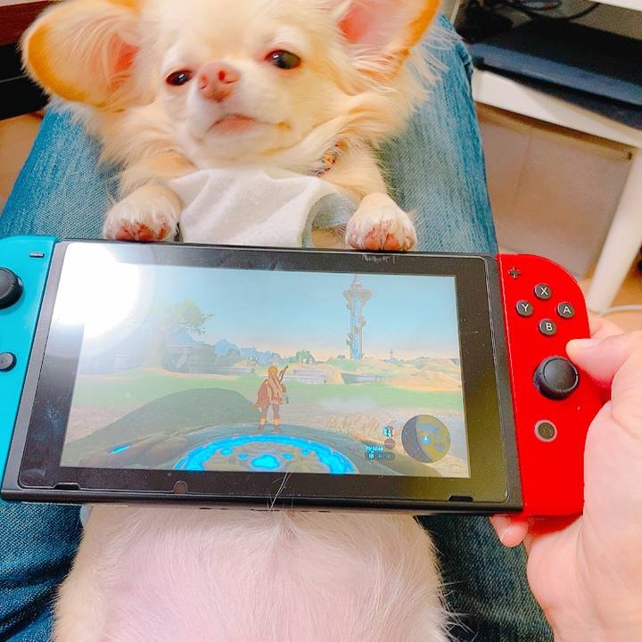 55ace029 aa03 4de2 afc9 a7234d3fa20e 1635915392905